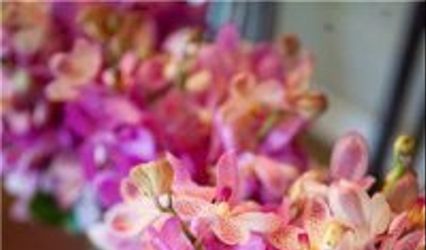 DE ROSE DESIGNS & FLORAL BOUTIQUE