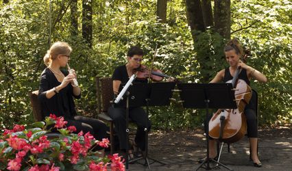 Grace Notes Classical Trio