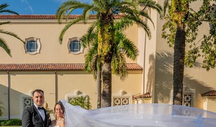 Dreams to Meet Weddings & Events