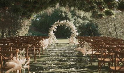 The Elegant Day