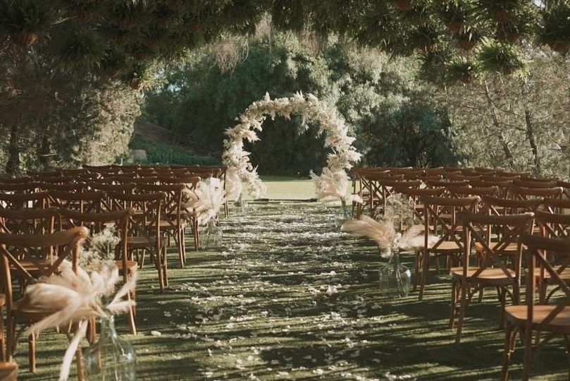 The Elegant Day