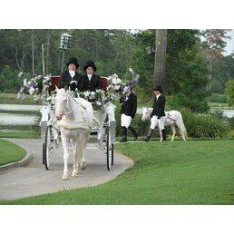 Platinum Carriage Co.