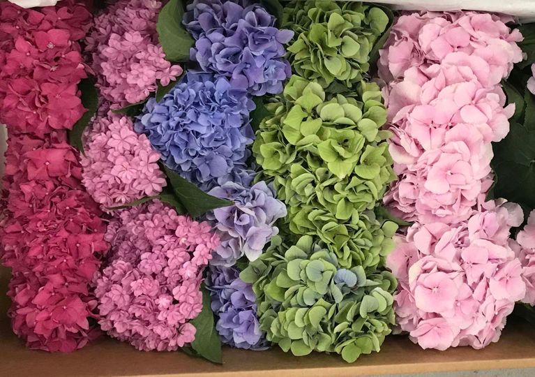 Springfield Wholesale Flowers