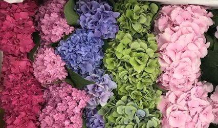 Springfield Wholesale Flowers