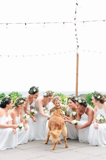 Kim Lyn Photography