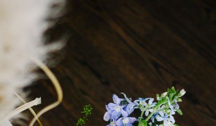 Potted & Petals