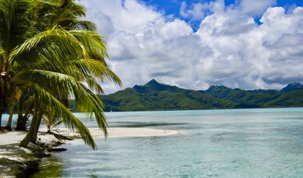 Catalina Quest: Travel Assistant