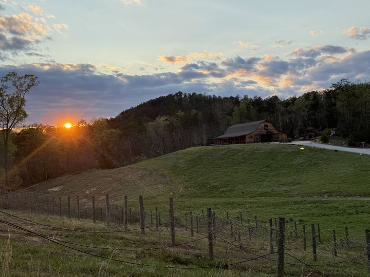 Arabella Farm