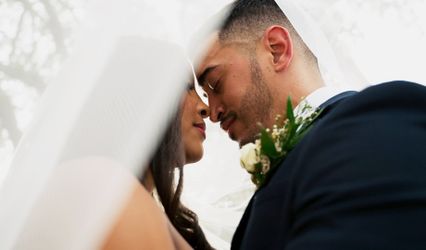 Zwicky Wedding Film