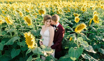 Emily Swan Photography