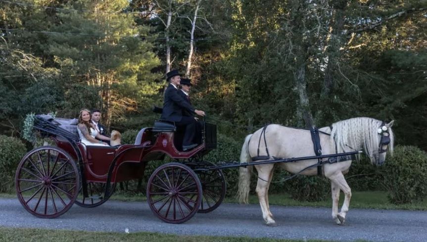 Clover Creek Horse and Carriage