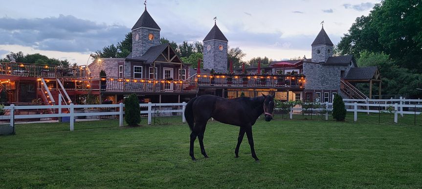 Saddle Creek Stables & Vineyard