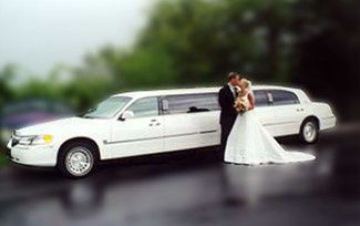 Breezy Limousine Inc