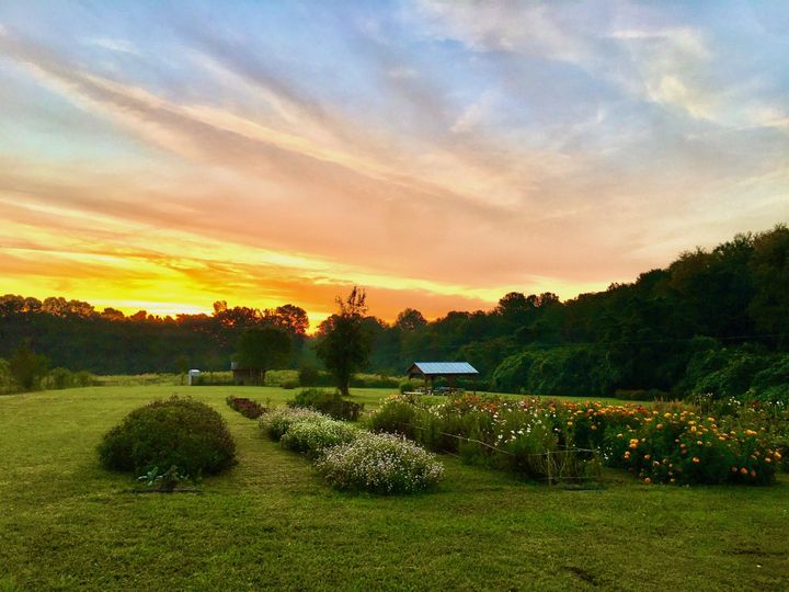 Fields of Grace Flower Farm
