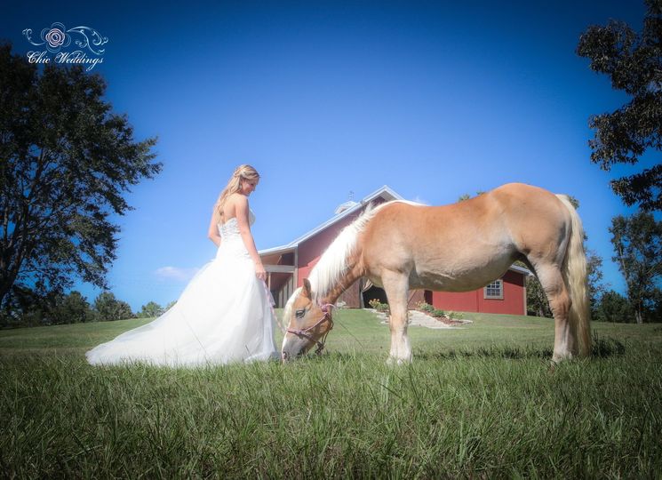 Chic Weddings