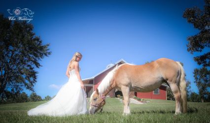 Chic Weddings