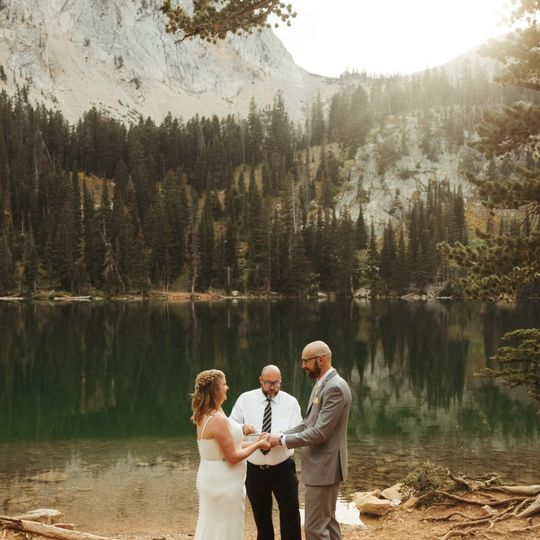 Weddings of the Wild