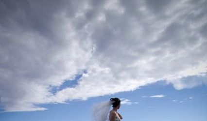 Mary Jane Howland Photography