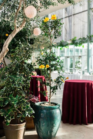 Red Butte Garden Venue Salt Lake City Ut Weddingwire