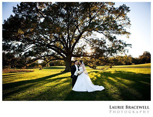 Laurie Bracewell Photography