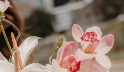 Love You More Florals