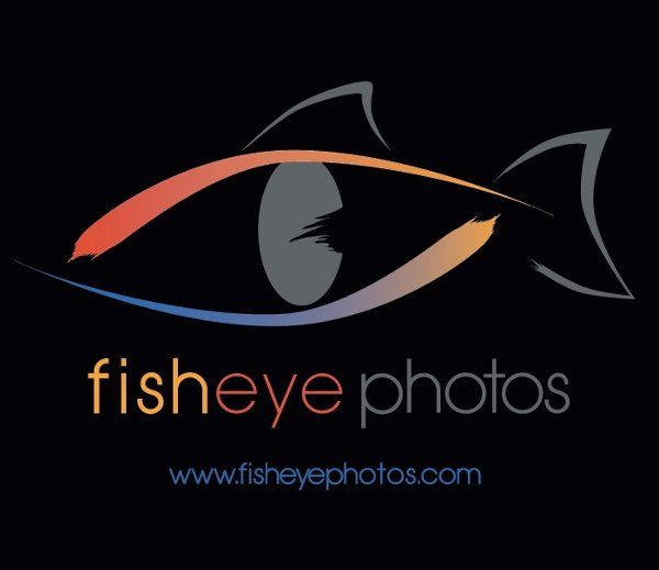 fisheye photos
