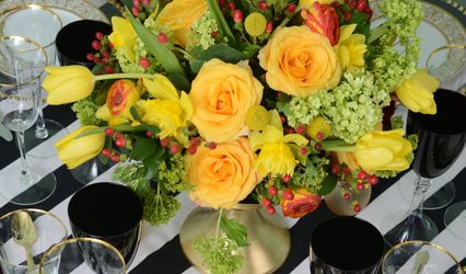 Provisions Catering