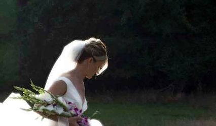 Linda Matteson-Reynolds Photography