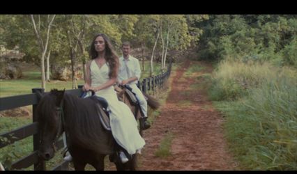 Wise Eye Films
