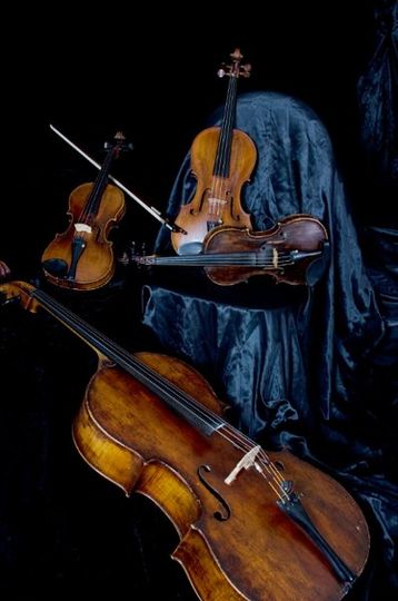 String Quartet Con Brio