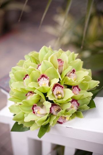 Flora Linda Design