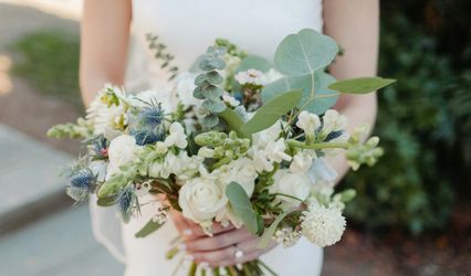 Lucy Donnelly Events