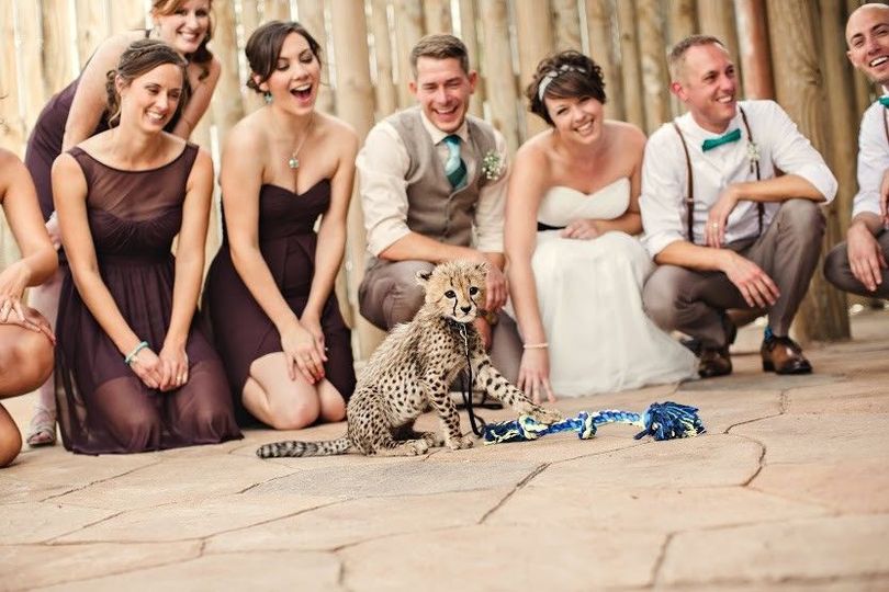 Columbus Zoo And Aquarium Venue Powell Oh Weddingwire