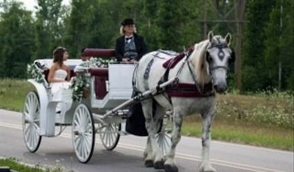 Camelot Carriage Rides