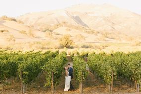 Zaca Mesa Winery