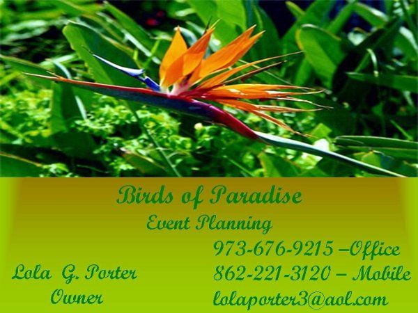 Birds of Paradise Event Planning