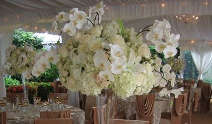 LES FLEURS D' ALMIR