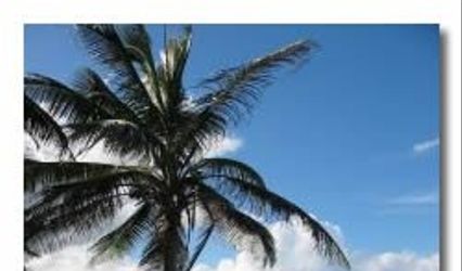 VIP Cruise & Travel