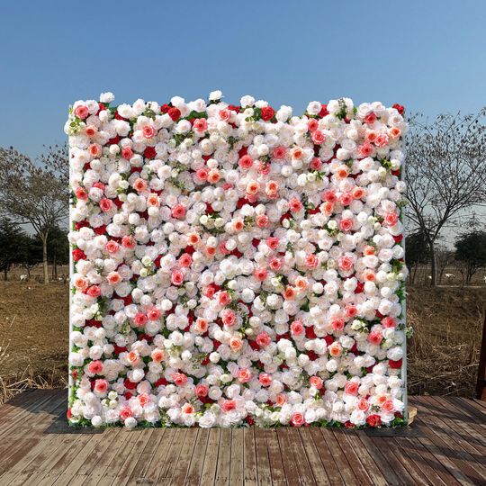 Petals and Portraits