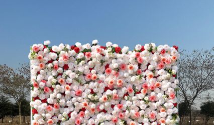 Petals and Portraits