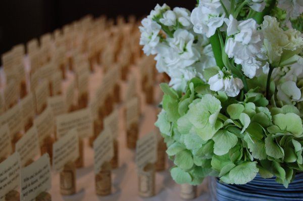 Events By Mystical Gardens