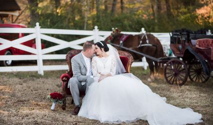 Lori Sparkman Photography