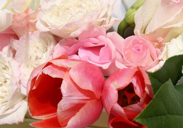 Completely Couture Weddings and Events