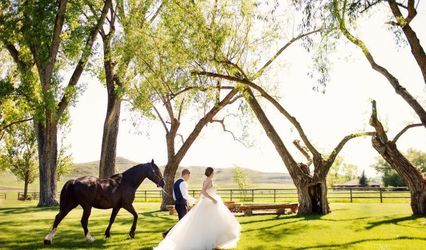 Weddings & Events by Ashley Marie