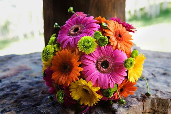 Statice Floral Design