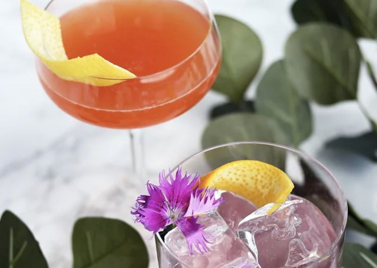 Roxxy on the Rocks
