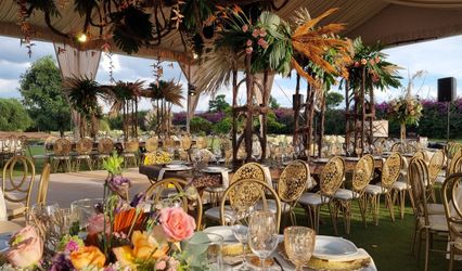 Daniela Acosta Wedding Planner