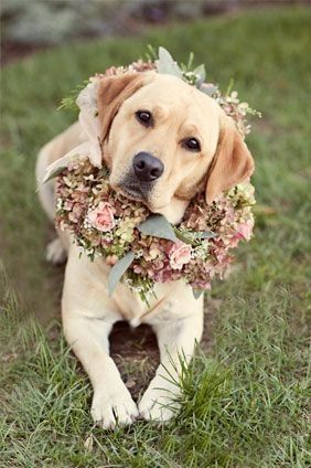 Allure Bridal