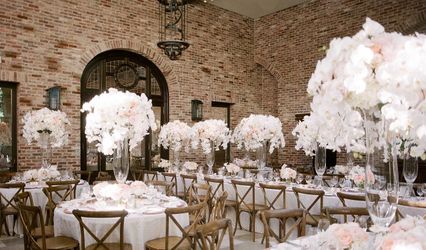 Lauren Chitwood Events