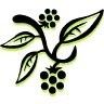 Minton Finefoods